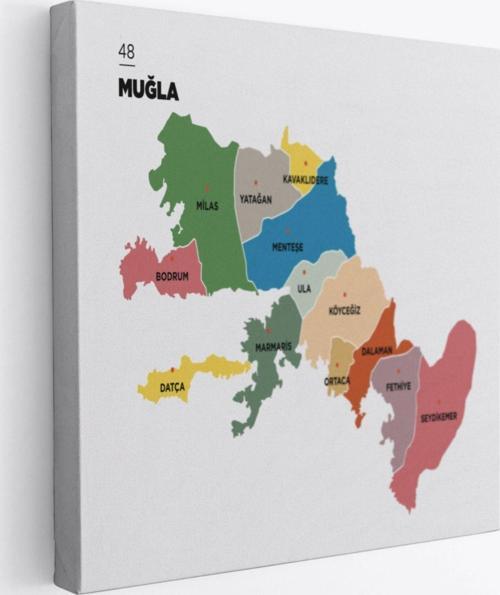 İl ve İlçeler Haritası Muğla, Modern Dekoratif Kanvas Tablo, Duvar Dekoru 1422