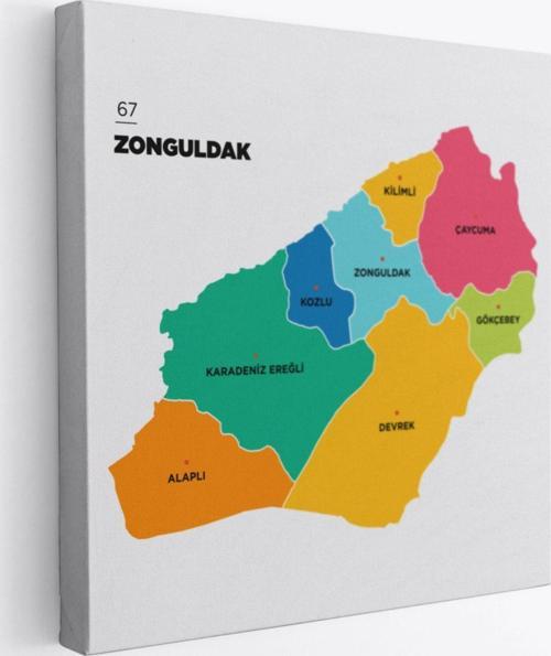 İl ve İlçeler Haritası Zonguldak, Modern Dekoratif Kanvas Tablo, Duvar Dekoru 1487