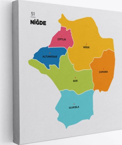 İl ve İlçeler Haritası Niğde, Modern Dekoratif Kanvas Tablo, Duvar Dekoru 1430