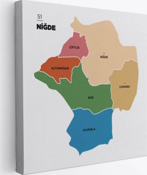 İl ve İlçeler Haritası Niğde, Modern Dekoratif Kanvas Tablo, Duvar Dekoru 1431