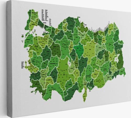 Eğitici İl ve İlçe Detaylı Türkiye Haritası, Harita Dekoratif Kanvas Tablo, Duvar Dekoru 3035