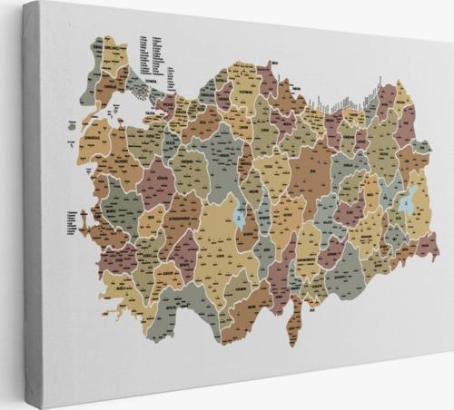 Eğitici İl ve İlçe Detaylı Türkiye Haritası, Harita Dekoratif Kanvas Tablo, Duvar Dekoru 3050