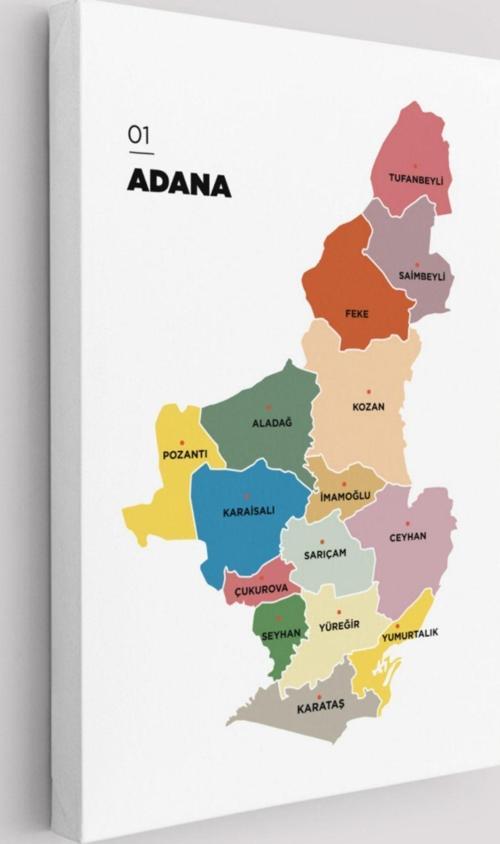 İl ve İlçeler Haritası Adana, Modern Dekoratif Kanvas Tablo, Duvar Dekoru 1246