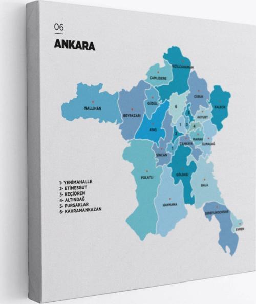 İl ve İlçeler Haritası Ankara, Modern Dekoratif Kanvas Tablo, Duvar Dekoru 1264