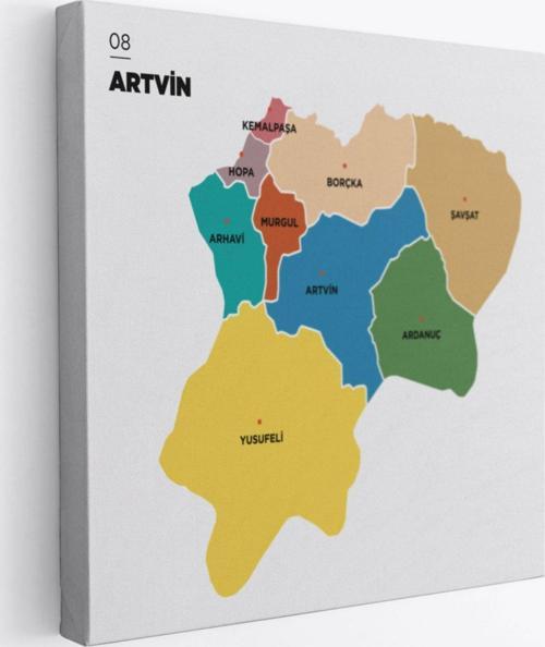 İl ve İlçeler Haritası Artvin, Modern Dekoratif Kanvas Tablo, Duvar Dekoru 1274
