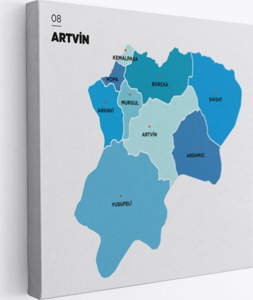 İl ve İlçeler Haritası Artvin, Modern Dekoratif Kanvas Tablo, Duvar Dekoru 1275