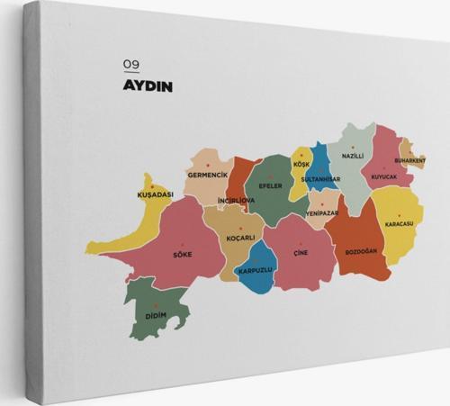 İl ve İlçeler Haritası Aydın, Modern Dekoratif Kanvas Tablo, Duvar Dekoru 1277