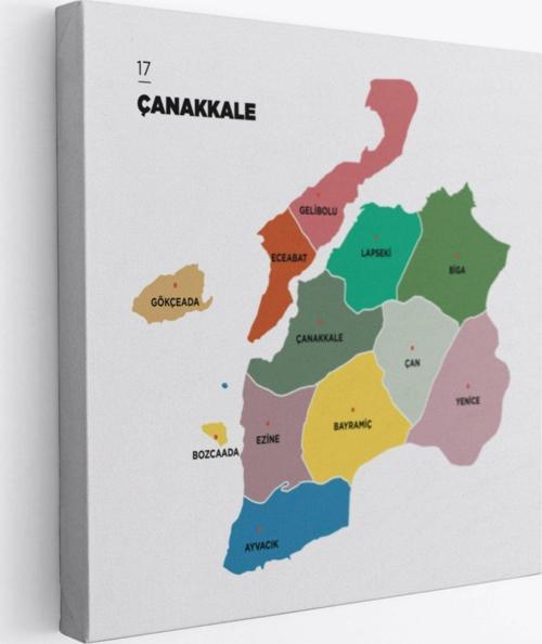 İl ve İlçeler Haritası Çanakkale, Modern Dekoratif Kanvas Tablo, Duvar Dekoru 1310