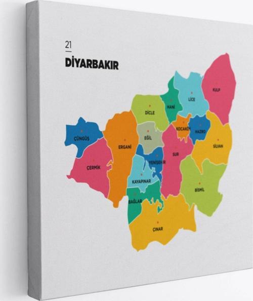 İl ve İlçeler Haritası Diyarbakır, Modern Dekoratif Kanvas Tablo, Duvar Dekoru 1321