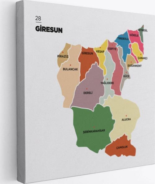 İl ve İlçeler Haritası Giresun, Modern Dekoratif Kanvas Tablo, Duvar Dekoru 1346