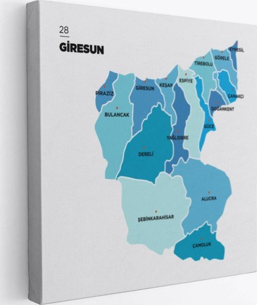 İl ve İlçeler Haritası Giresun, Modern Dekoratif Kanvas Tablo, Duvar Dekoru 1347