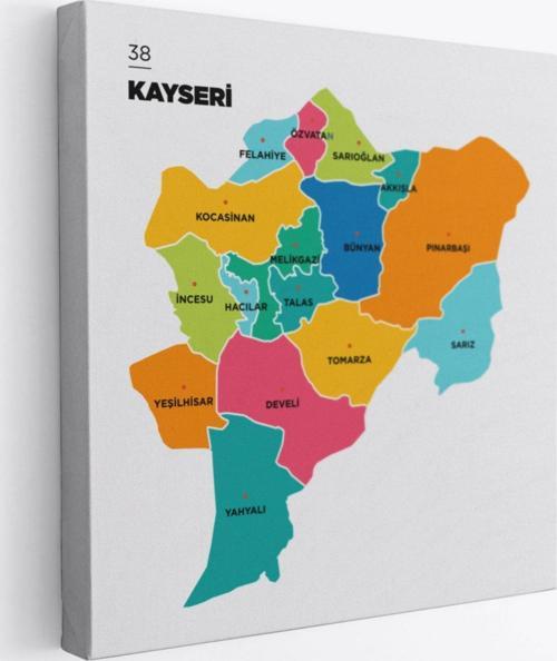 İl ve İlçeler Haritası Kayseri, Modern Dekoratif Kanvas Tablo, Duvar Dekoru 1385