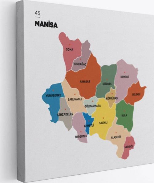 İl ve İlçeler Haritası Manisa, Modern Dekoratif Kanvas Tablo, Duvar Dekoru 1413