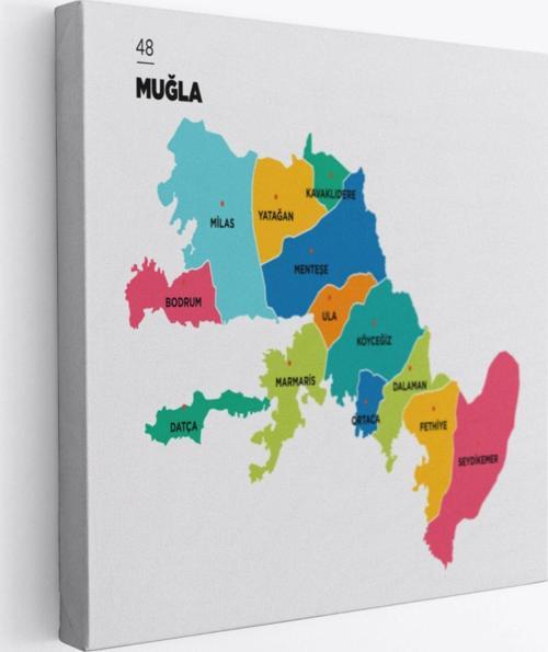 İl ve İlçeler Haritası Muğla, Modern Dekoratif Kanvas Tablo, Duvar Dekoru 1421