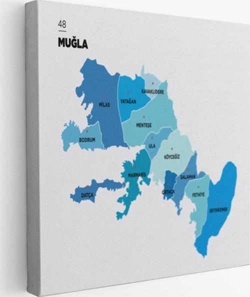 İl ve İlçeler Haritası Muğla, Modern Dekoratif Kanvas Tablo, Duvar Dekoru 1423