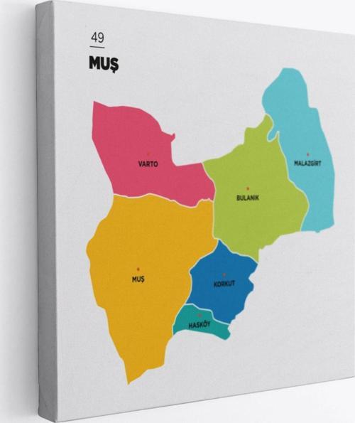 İl ve İlçeler Haritası Muş, Modern Dekoratif Kanvas Tablo, Duvar Dekoru 1424