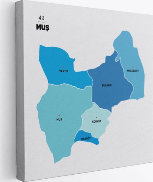 İl ve İlçeler Haritası Muş, Modern Dekoratif Kanvas Tablo, Duvar Dekoru 1426