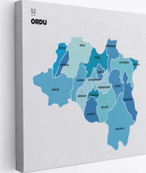 İl ve İlçeler Haritası Ordu, Modern Dekoratif Kanvas Tablo, Duvar Dekoru 1435
