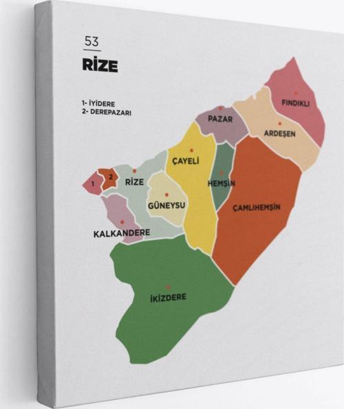 İl ve İlçeler Haritası Rize, Modern Dekoratif Kanvas Tablo, Duvar Dekoru 1440
