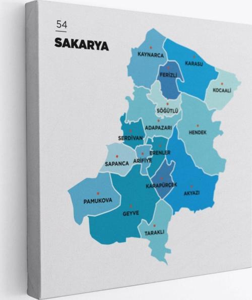 İl ve İlçeler Haritası Sakarya, Modern Dekoratif Kanvas Tablo, Duvar Dekoru 1444