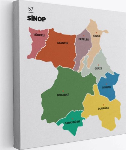 İl ve İlçeler Haritası Sinop, Modern Dekoratif Kanvas Tablo, Duvar Dekoru 1452