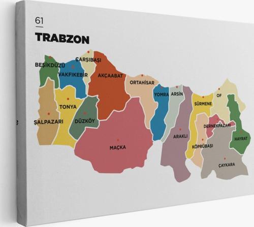 İl ve İlçeler Haritası Trabzon, Modern Dekoratif Kanvas Tablo, Duvar Dekoru 1470