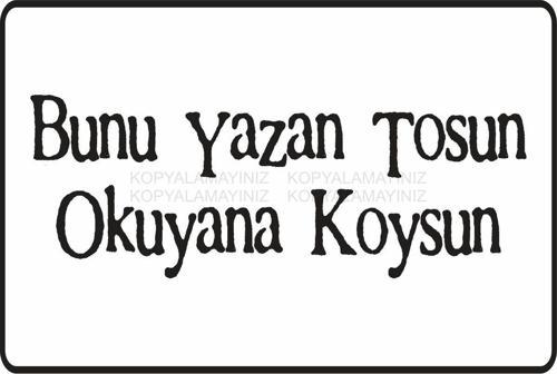 Bunu Okuyan Tosun Komik Sözler Duvar Yazıları Kamyon Arkası Sözler Retro Ahşap Poster Tablo