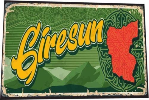 Giresun Şehir Posterleri Retro Ahşap Poster