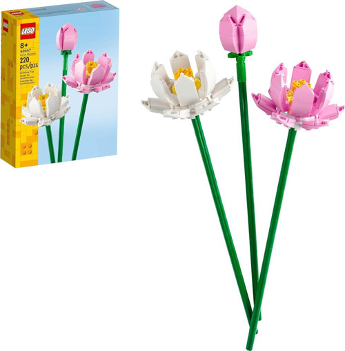 40647 - Lotus Çiçekleri