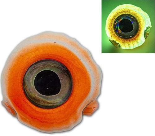 JLC Nautilus 1.0 Tai Rubber Kafa 200gr #04 Orange