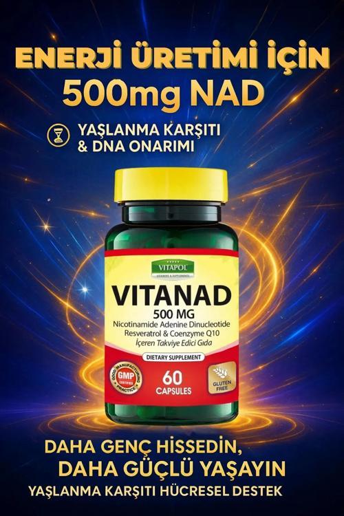 Nad Resveratrol Koenzim Q10 Içeren Takviye Edici Gıda Nadh - Vıtanad 500 Mg 60 Kapsül