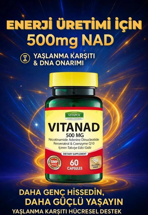 Nad Resveratrol Koenzim Q10 Içeren Takviye Edici Gıda Nadh - Vıtanad 500 Mg 60 Kapsül