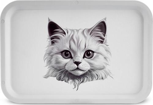 Karaca Apricot Biome Kedi Desenli Dikdörtgen Tepsi