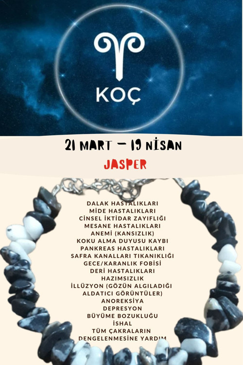 Koç Burcu Burç Bilekliği