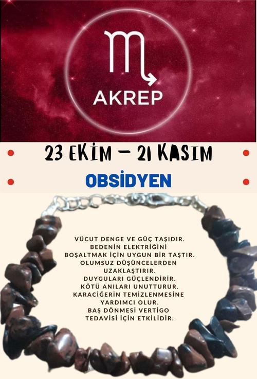 Akrep Burcu Burç Bilekliği
