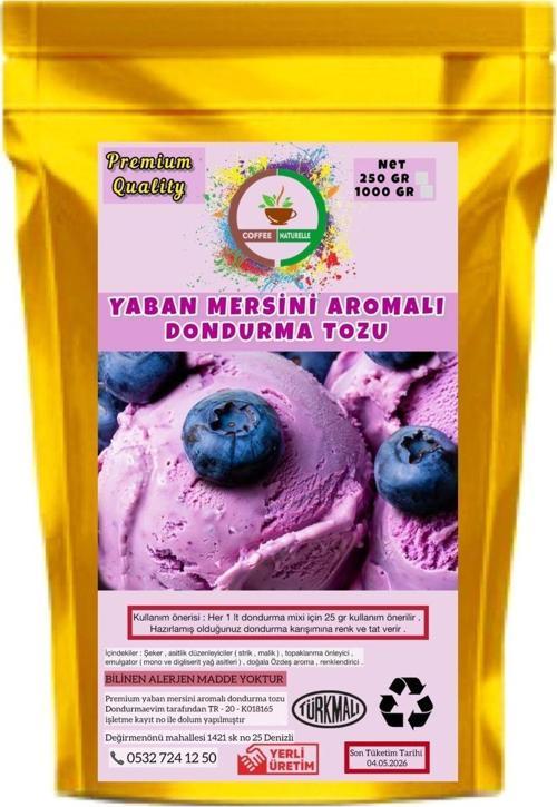 Yaban Mersini Aromalı Dondurma Karışım Tozu - 250 Gr