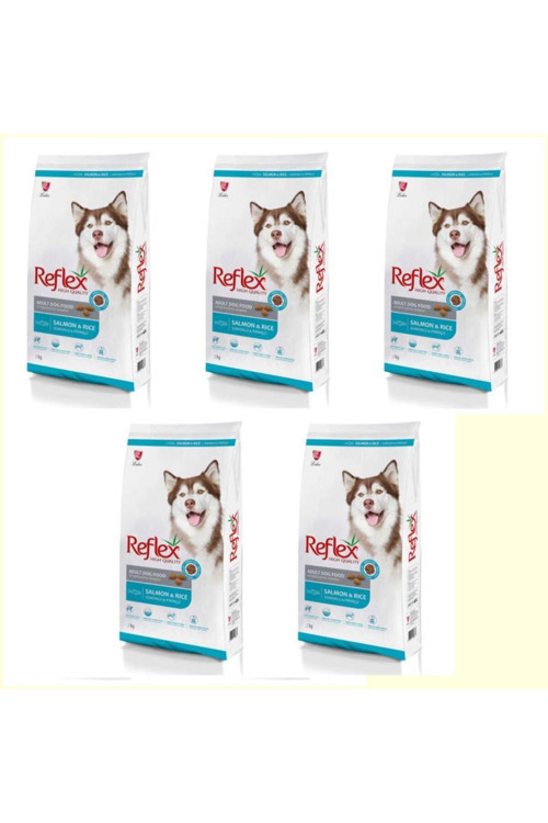 Somonlu ve Pirinçli Yetişkin Köpek Maması 3kg*5 ADET