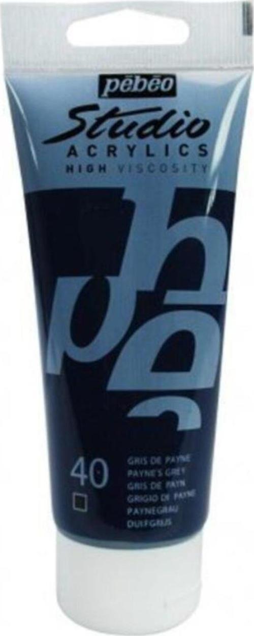Studio Akrilik Boya 100 Ml 40 Payne's Grey