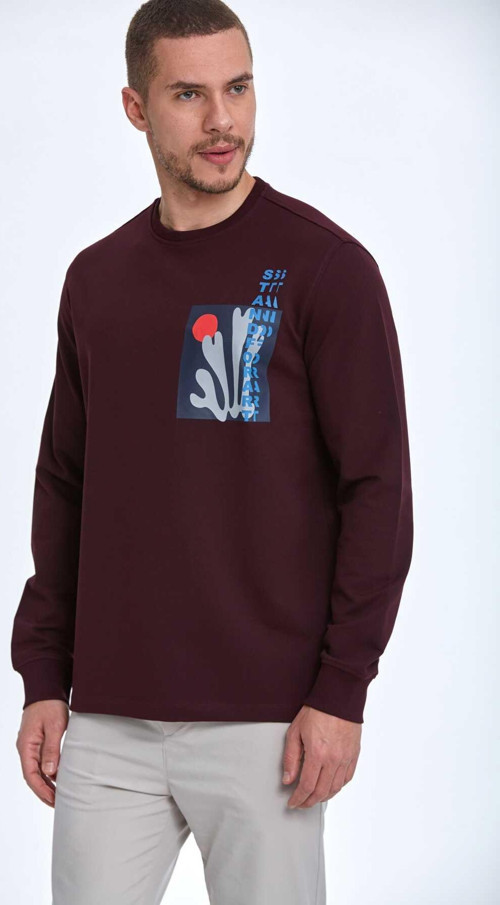 Pattern Bisiklet Yaka Erkek Sweatshirt Bordo