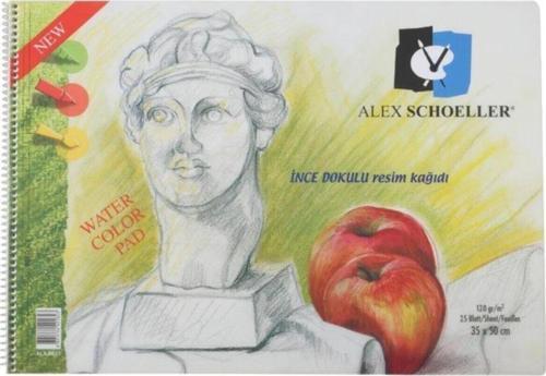 Resim Defteri 35x50 120 Gr 25 Sayfa Şeffaf Spiralli Kapak Alx-0823
