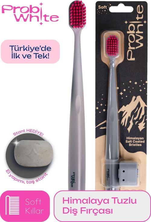 ProbiWhite Himalaya Tuzu Kaplı Diş Fırçası Gri 