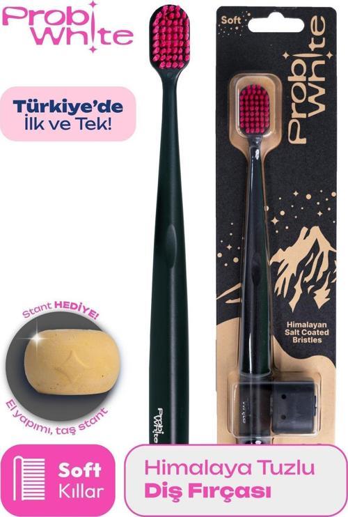 ProbiWhite Himalaya Tuzu Kaplı Diş Fırçası
