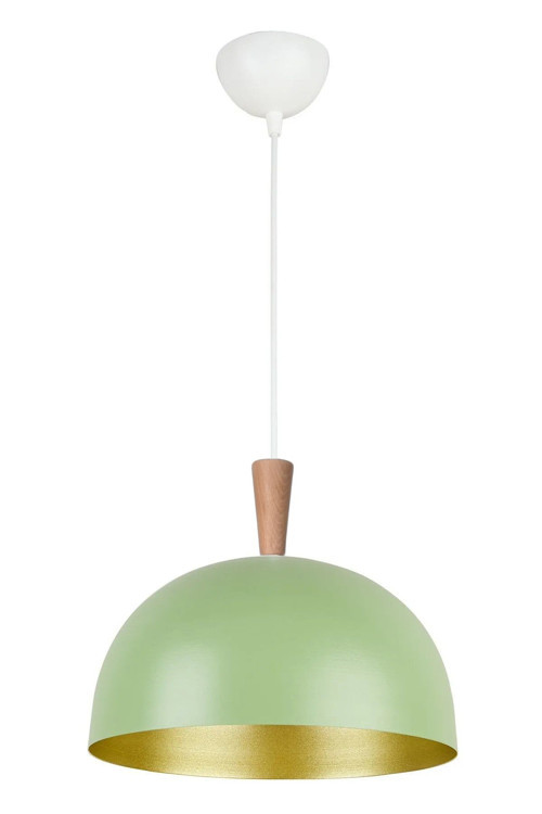 Neo Modern Tasarım Ahşap Detaylı Metal Cafe - Mutfak Yeşil Renk Tekli Avize (28 CM)