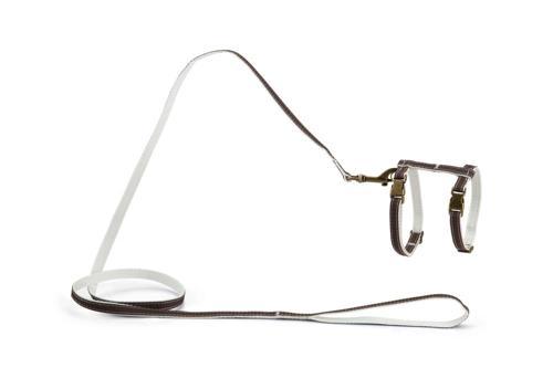 DBL Kedi Göğüs Tasması ve Gezdirme Kayışı, 130cm, Kahverengi, 27-45cm