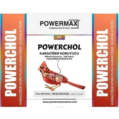 POWERCHOL 250 ML (Karaciğer düzenleyici,karaciğer koruyucu)