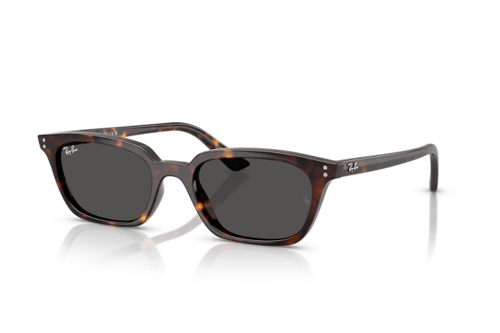 RB4456 135987 53 Unisex Güneş Gözlüğü