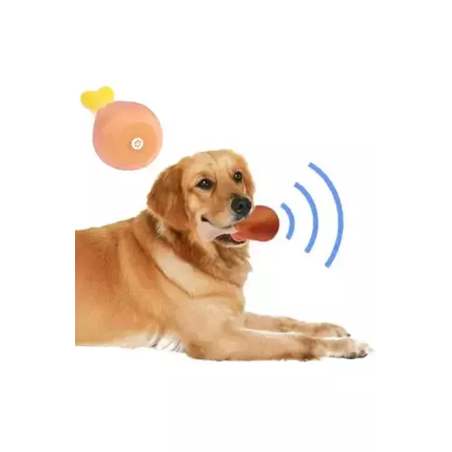 Büro Ev Evcil Hayvanı için Sesli Tavuk Butu Köpek Oyuncak