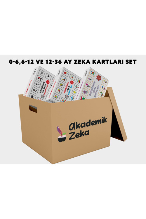 Akademik Zeka 0-6 Ay - 0-12 Ay - 12-36 Ay Zeka Kartları