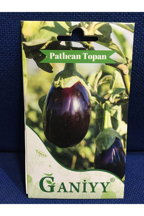 Ganiyy Tohum Patlıcan Topan Tohumu 5 Gr