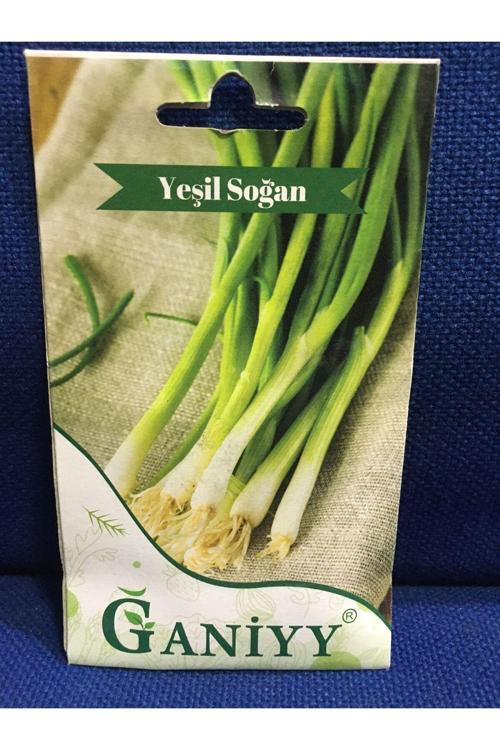 Ganiyy Tohum Yeşil Soğan Tohumu 5 Gr